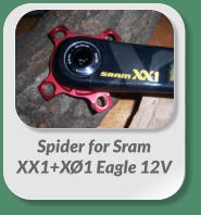 Spider for Sram  XX1+XØ1 Eagle 12V