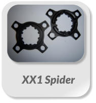 XX1 Spider