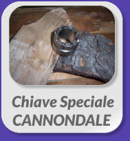 Chiave SpecialeCANNONDALE