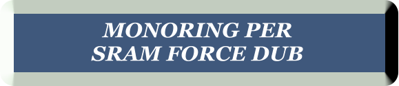 MONORING PER  SRAM FORCE DUB