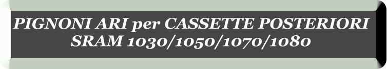 PIGNONI ARI per CASSETTE POSTERIORI  SRAM 1030/1050/1070/1080