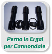 Perno in Ergal  per Cannondale