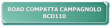 ROAD COMPATTA CAMPAGNOLO BCD110