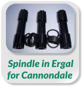 Spindle in Ergal  for Cannondale