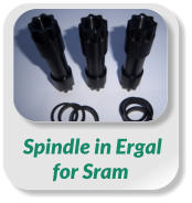 Spindle in Ergal  for Sram