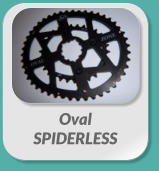 Oval  SPIDERLESS