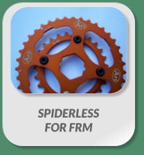 SPIDERLESS  FOR FRM