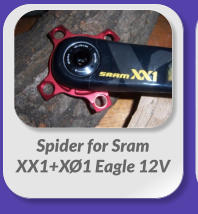 Spider for Sram  XX1+XØ1 Eagle 12V