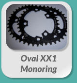 Oval XX1  Monoring