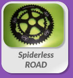 Spiderless  ROAD