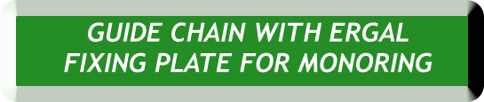 GUIDE CHAIN WITH ERGAL  FIXING PLATE FOR MONORING