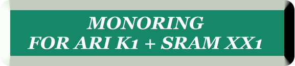 MONORING  FOR ARI K1 + SRAM XX1