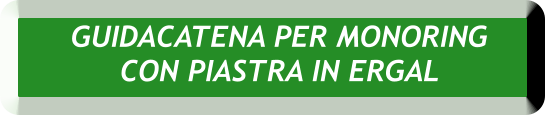 GUIDACATENA PER MONORING  CON PIASTRA IN ERGAL