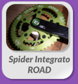 Spider Integrato ROAD