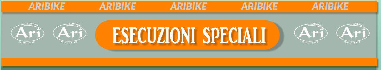 ARIBIKE			ARIBIKE			ARIBIKE			ARIBIKE			ARIBIKE      ESECUZIONI SPECIALI