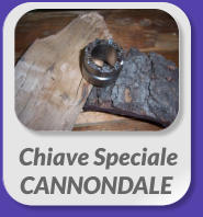 Chiave SpecialeCANNONDALE