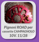 Pignoni ROAD per  cassette CAMPAGNOLO  10V. 11/28