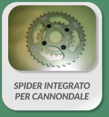 SPIDER INTEGRATO  PER CANNONDALE