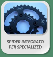 SPIDER INTEGRATO  PER SPECIALIZED