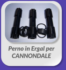 Perno in Ergal per  CANNONDALE