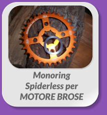 Monoring  Spiderless per  MOTORE BROSE