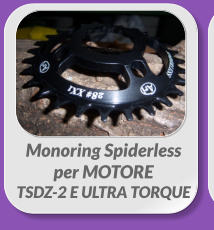 Monoring Spiderless  per MOTORE  TSDZ-2 E ULTRA TORQUE