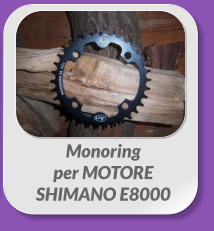 Monoring  per MOTORE  SHIMANO E8000