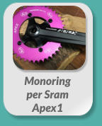 Monoring  per Sram  Apex1