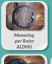 Monoring  per Rotor  ALDHU