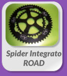 Spider Integrato ROAD