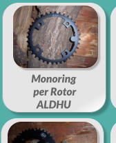 Monoring  per Rotor  ALDHU