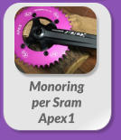 Monoring  per Sram  Apex1