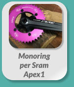 Monoring  per Sram  Apex1