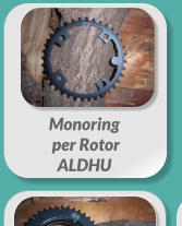Monoring  per Rotor  ALDHU