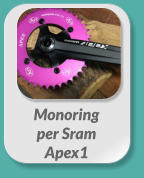 Monoring  per Sram  Apex1