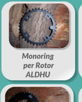 Monoring  per Rotor  ALDHU