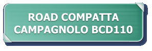 ROAD COMPATTA CAMPAGNOLO BCD110