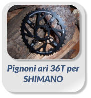 Pignoni ari 36T perSHIMANO