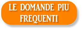 LE DOMANDE PIU  FREQUENTI