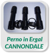 Perno in ErgalCANNONDALE