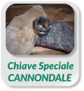 Chiave SpecialeCANNONDALE