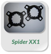 Spider XX1