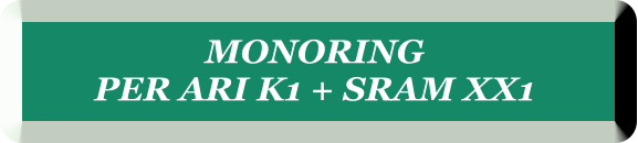 MONORING  PER ARI K1 + SRAM XX1