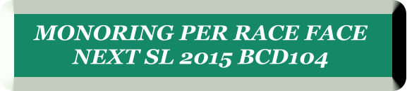 MONORING PER RACE FACE  NEXT SL 2015 BCD104