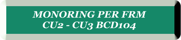 MONORING PER FRM  CU2 - CU3 BCD104