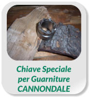 Chiave Speciale  per Guarniture  CANNONDALE