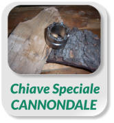 Chiave SpecialeCANNONDALE