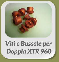 Viti e Bussole per  Doppia XTR 960